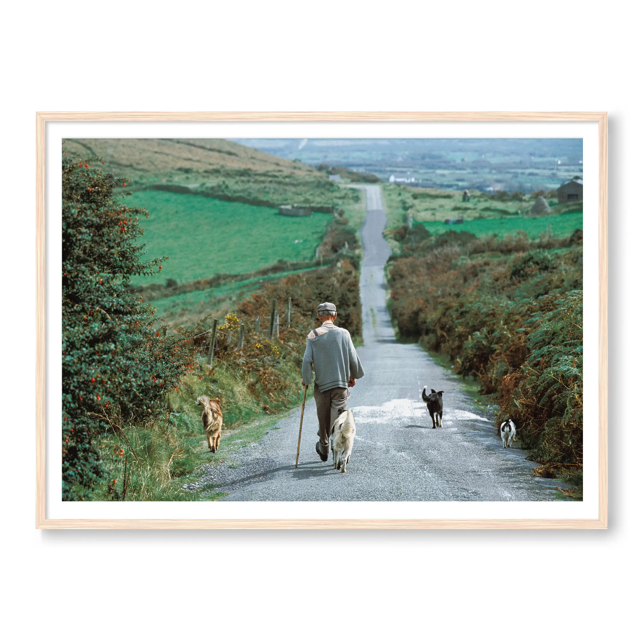 Countryside Stroll - Image 3