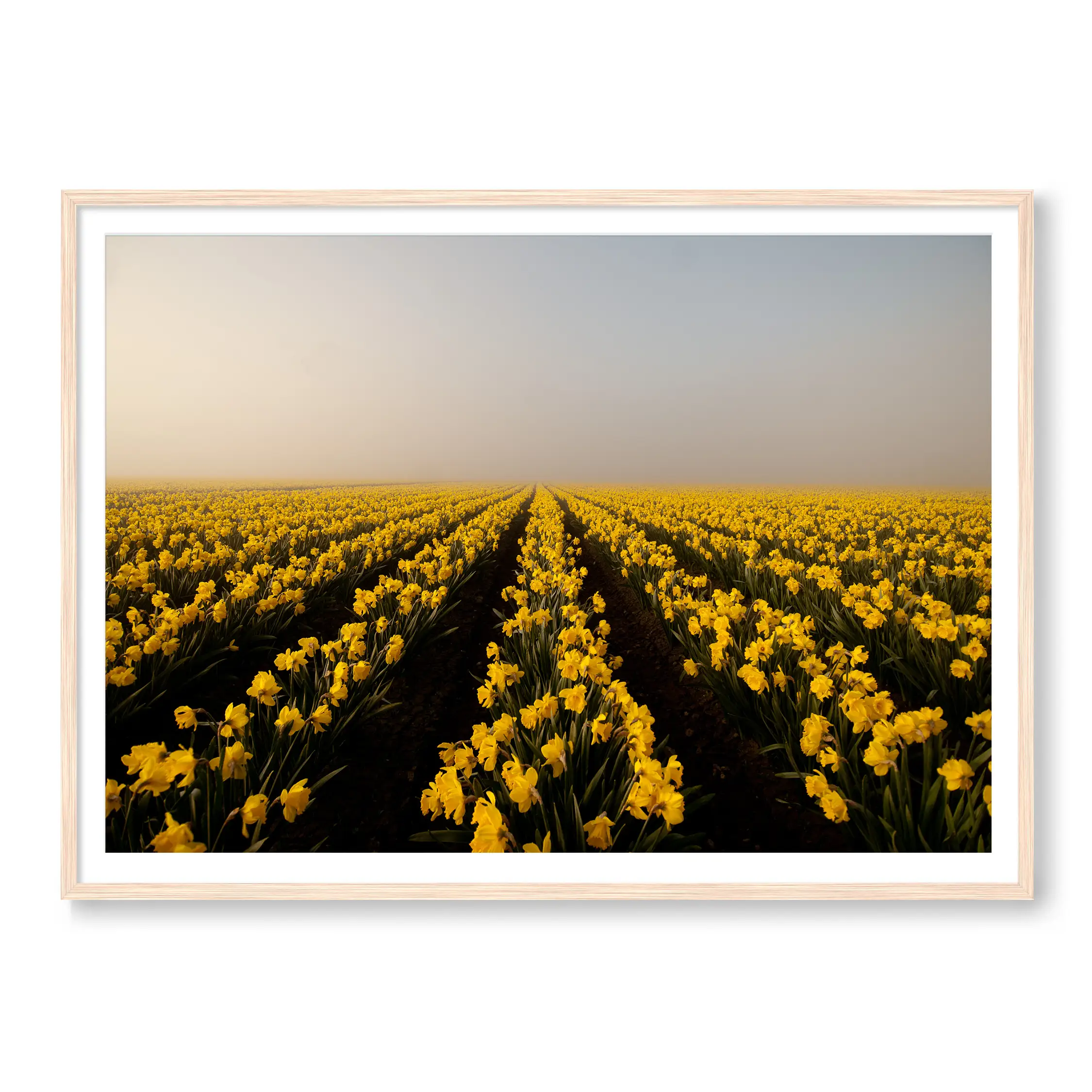 Flower Power - Image 3