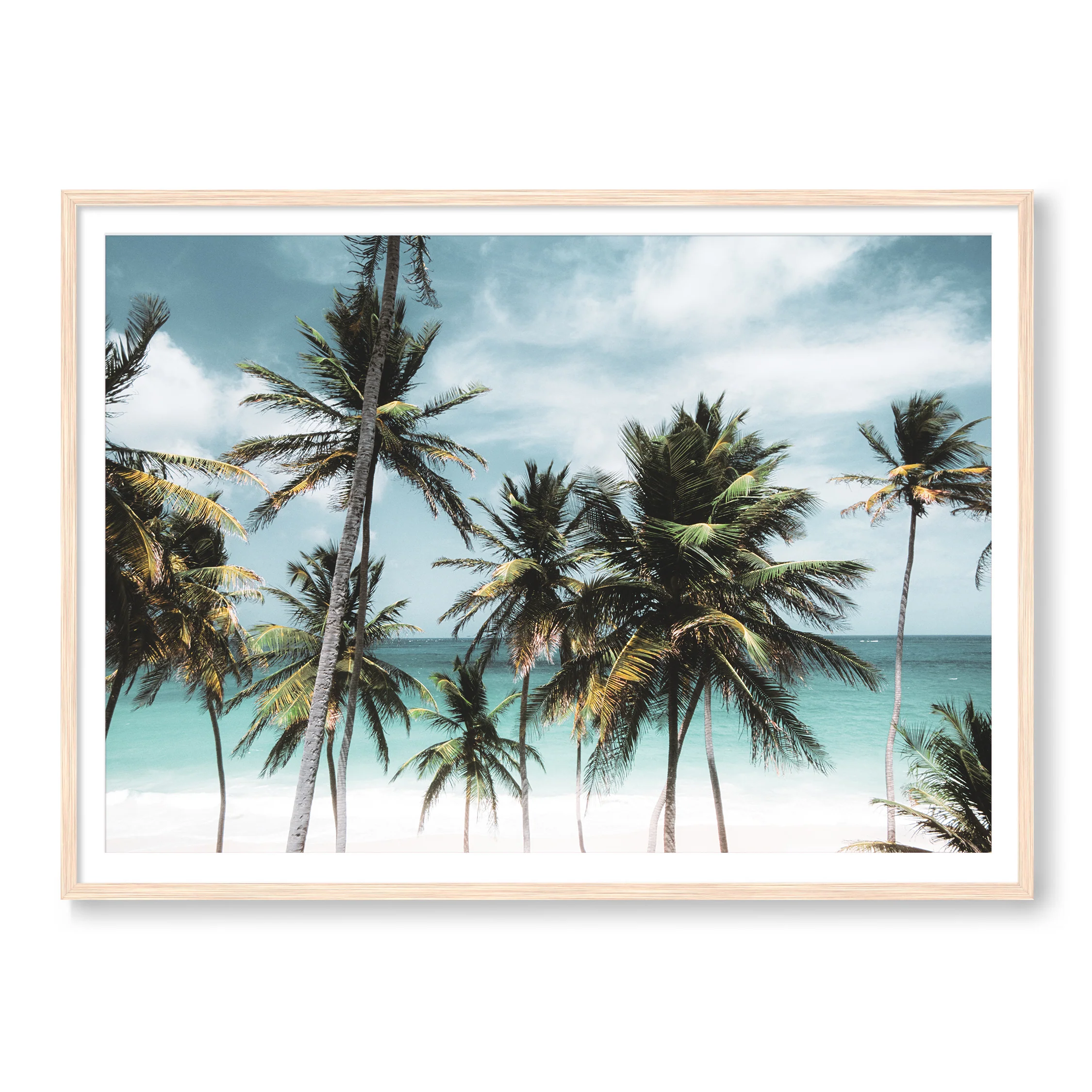 Island Time - Image 3