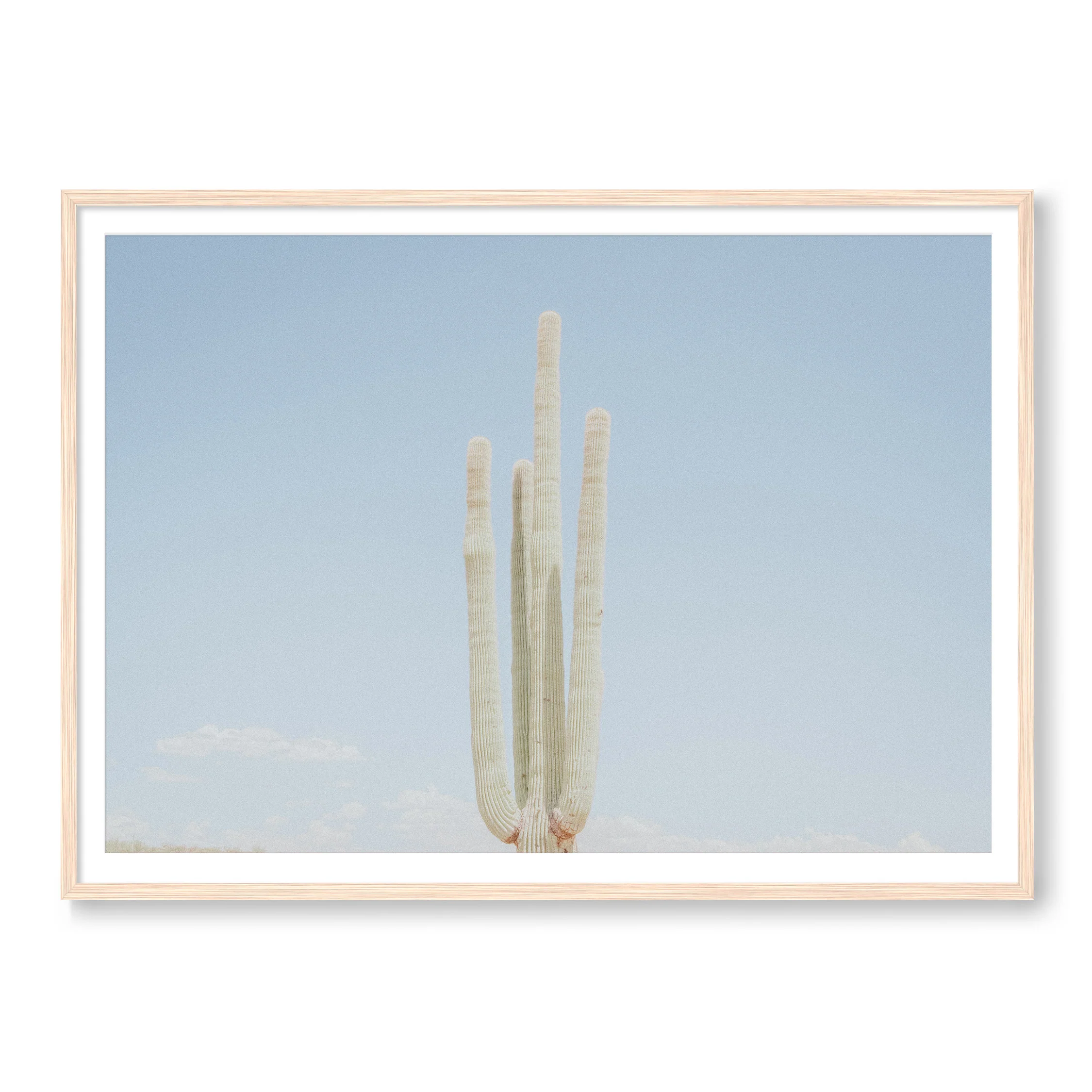 Lonely Cactus Club - Image 3