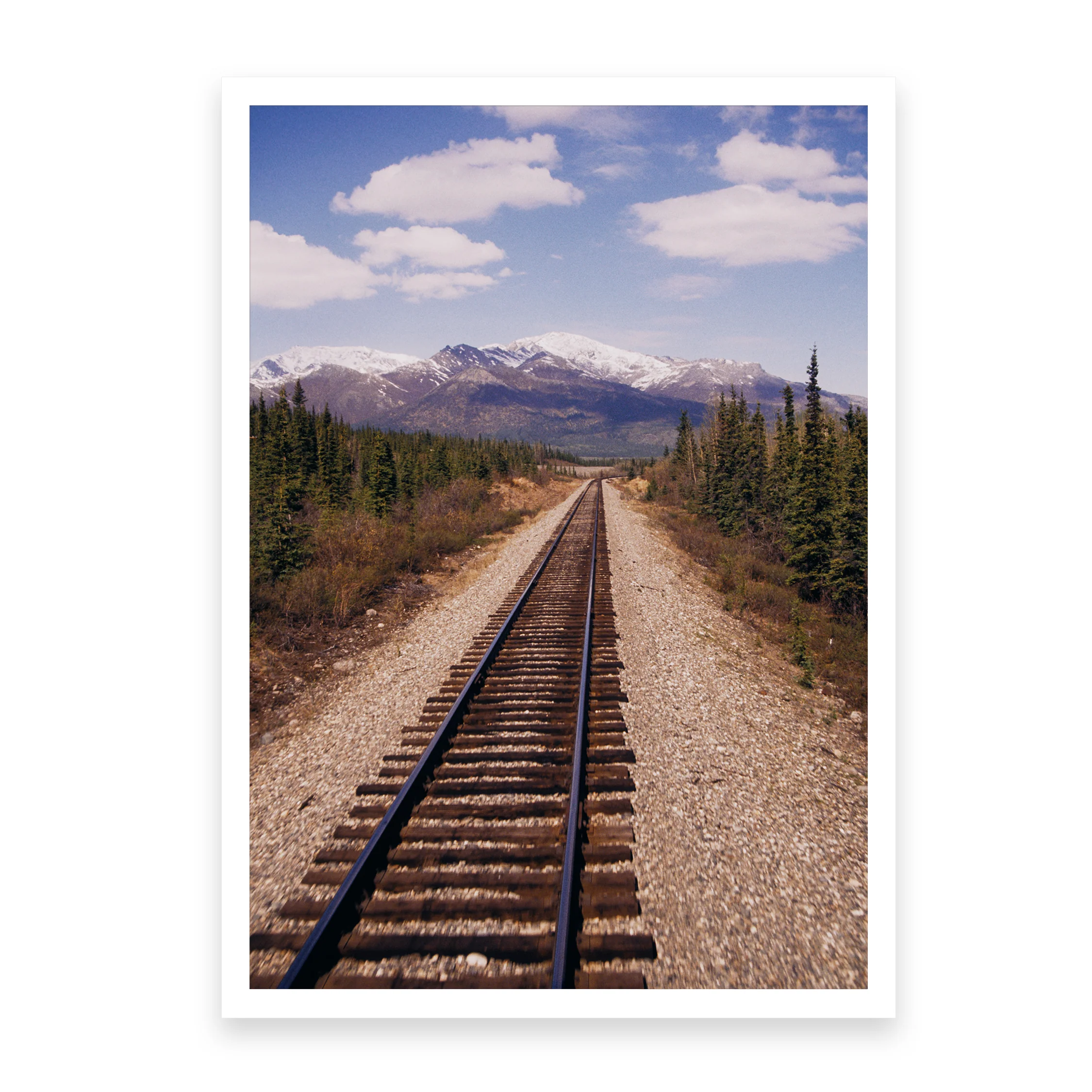 North By Northwest - Image 4