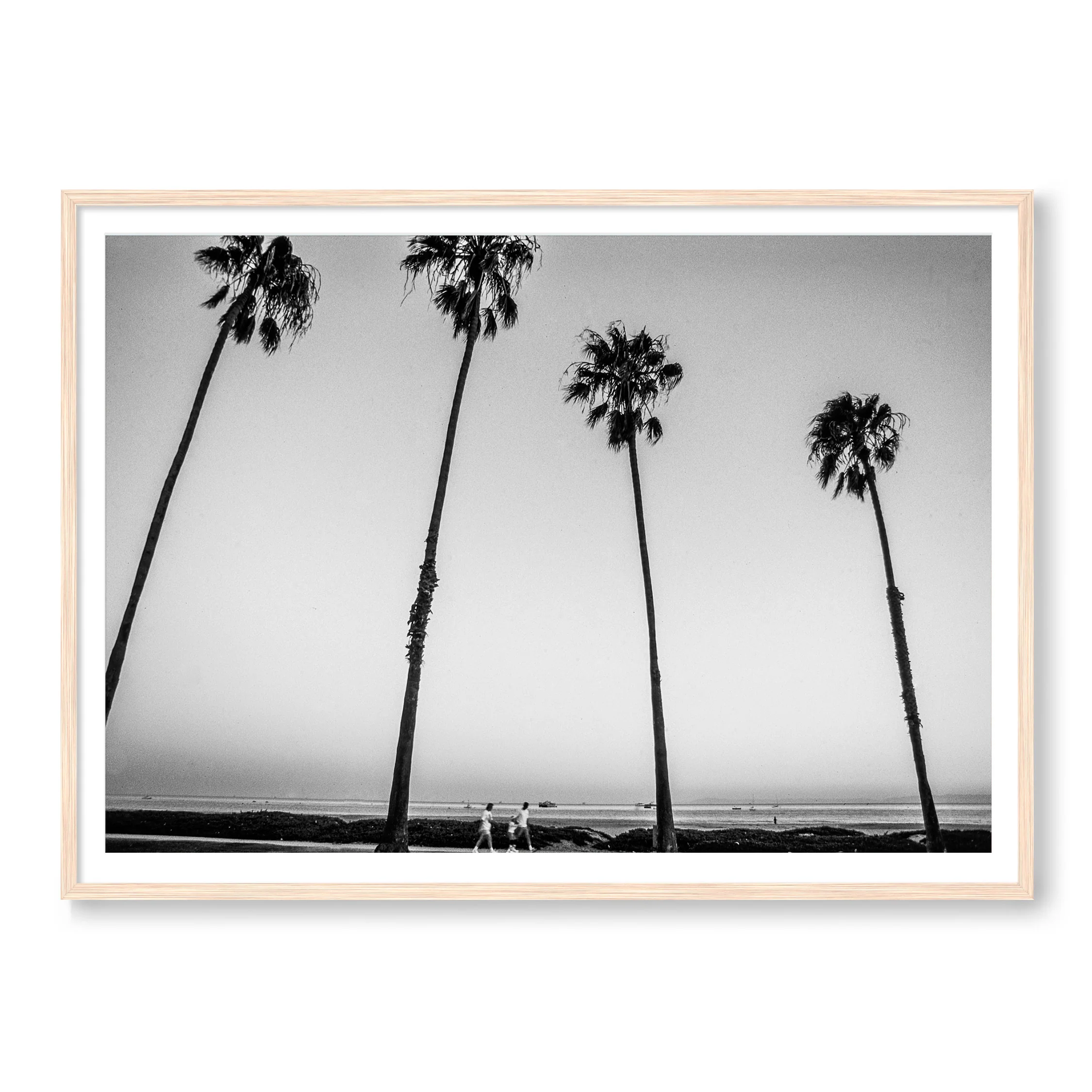 Santa Barbara Palms - Image 3