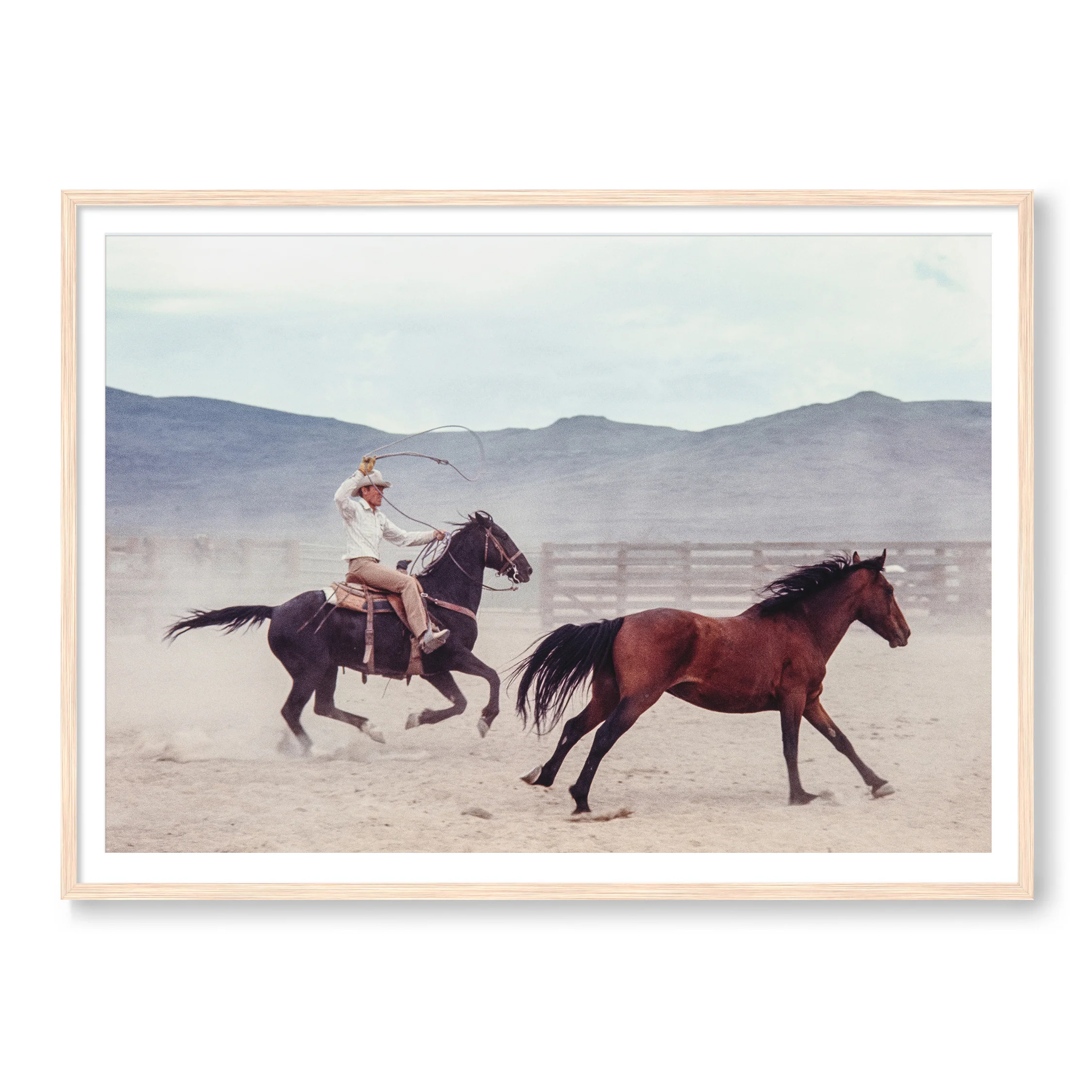 The Mustang - Image 3