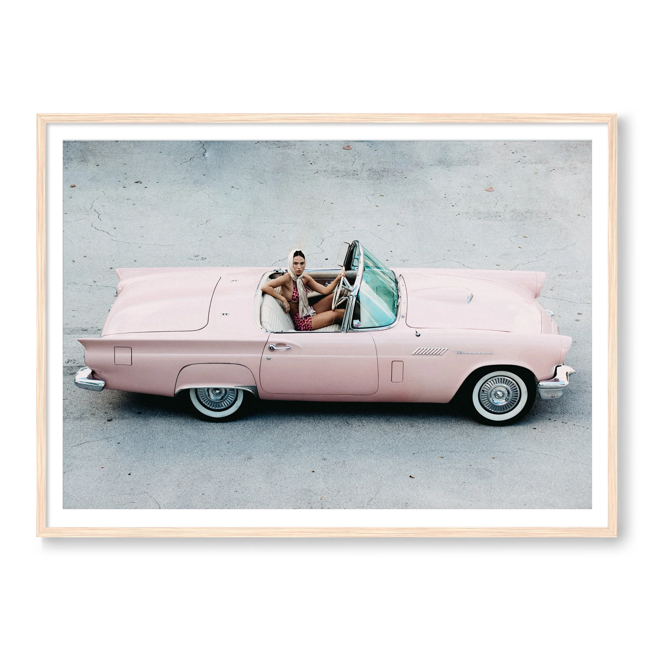 Thunderbird - Image 3