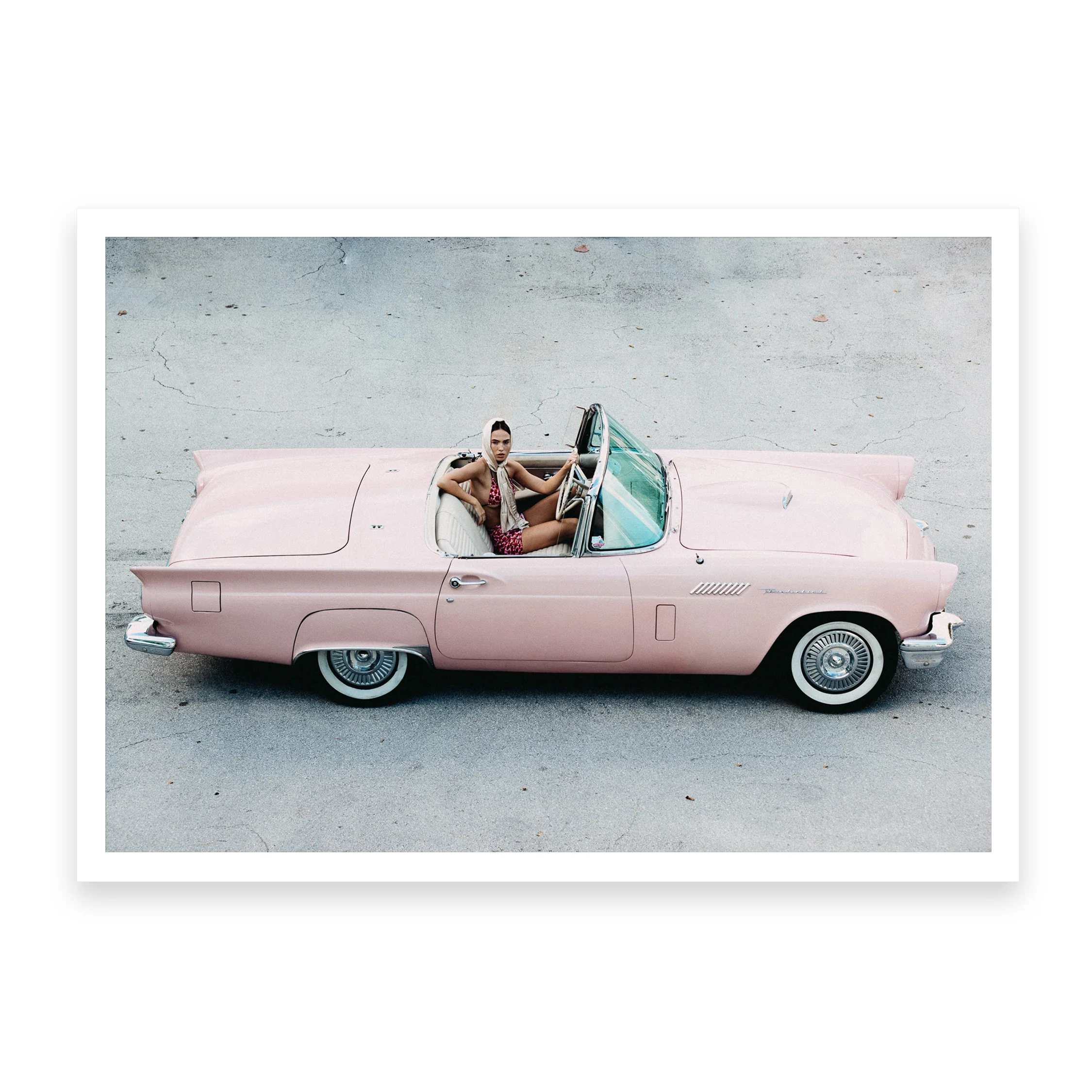 Thunderbird - Image 4